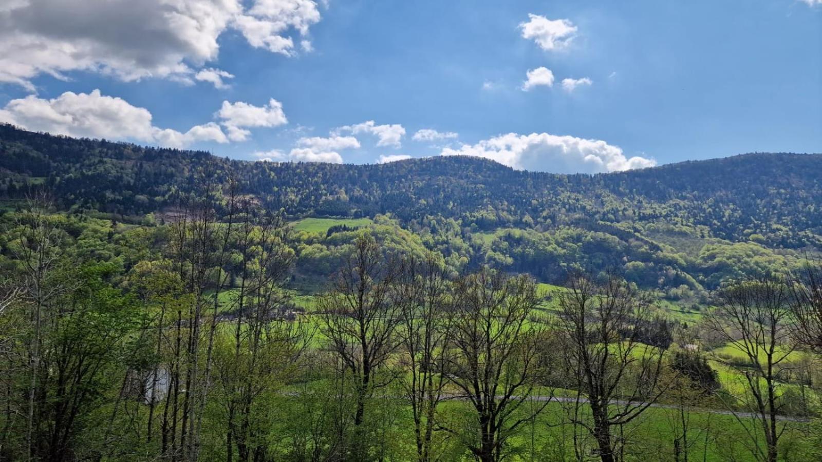 La Gentiane Bed & Breakfast Le Falgoux Bagian luar foto